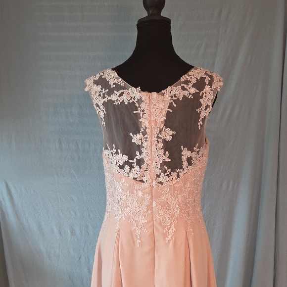 Elegant Lace Overlay Pink Dress - Picture 4 of 8